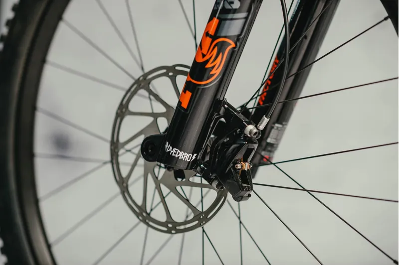 Dyedbro Fork Protector in Clear Gloss-9