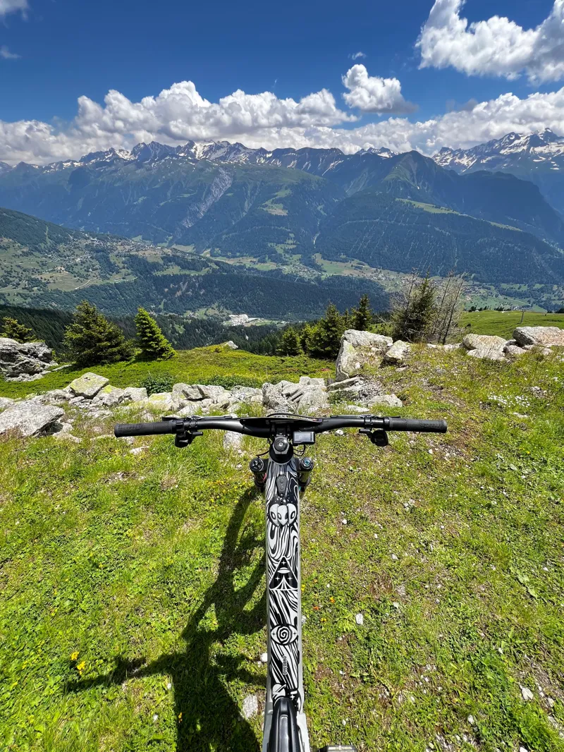 Dyedbro Kaos MTB Frame Protection Kit in Gloss Black-3