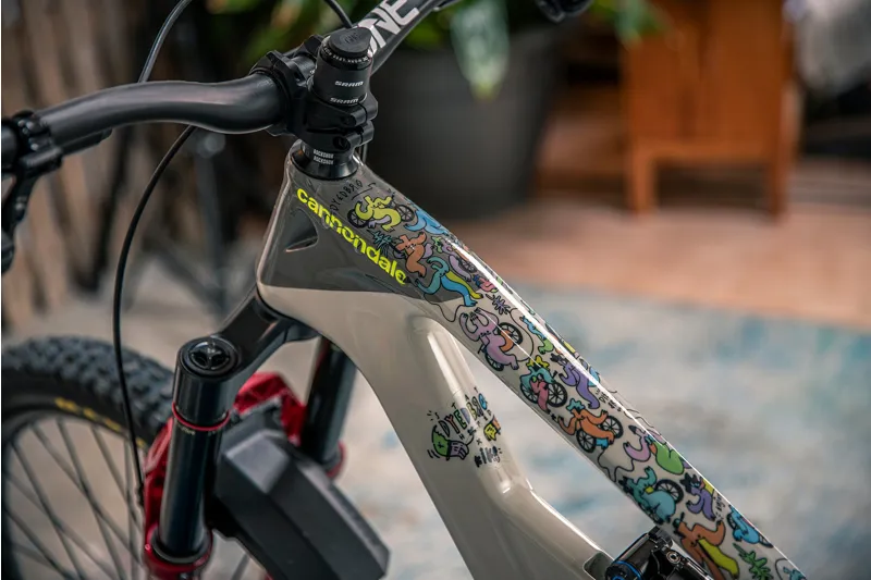 Dyedbro Kiko CLJ Artist Series Gloss MTB Frame Protection Kit in Multicolour-4