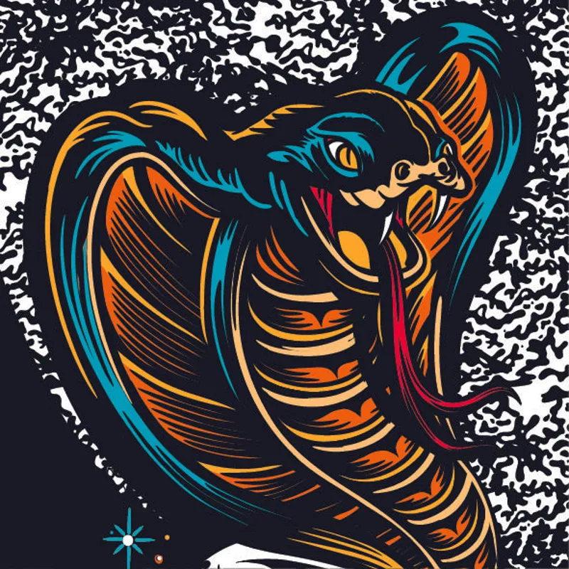 Dyedbro RRR x Dyedbro MTB Frame Protection Kit in Black-3