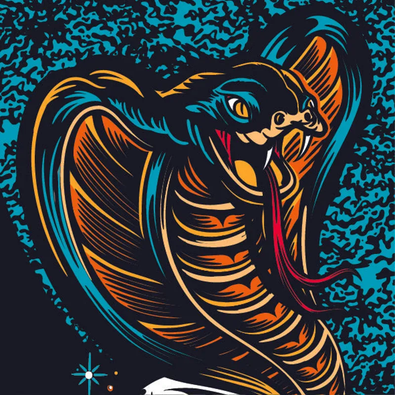 Dyedbro RRR x Dyedbro MTB Frame Protection Kit in Blue-3