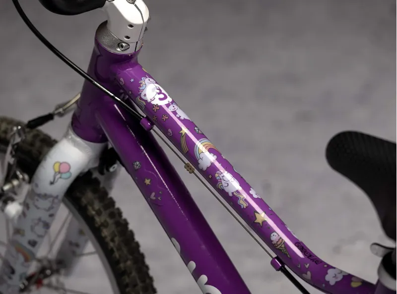 Dyedbro Kids Frame Protection Kit in Unicorn-1