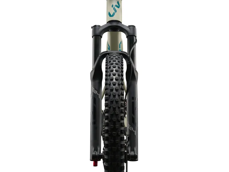 Liv Embolden Full Suspension Mountain Bike 2027 in Pale Moss-9