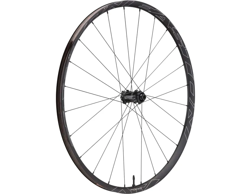 Balfes Bikes Easton EA90 AX Clincher 700C 12x100mm/15x100mm Front Wheel in Black | Free postage over £30, £10 off first order, price match & 0% finance.
