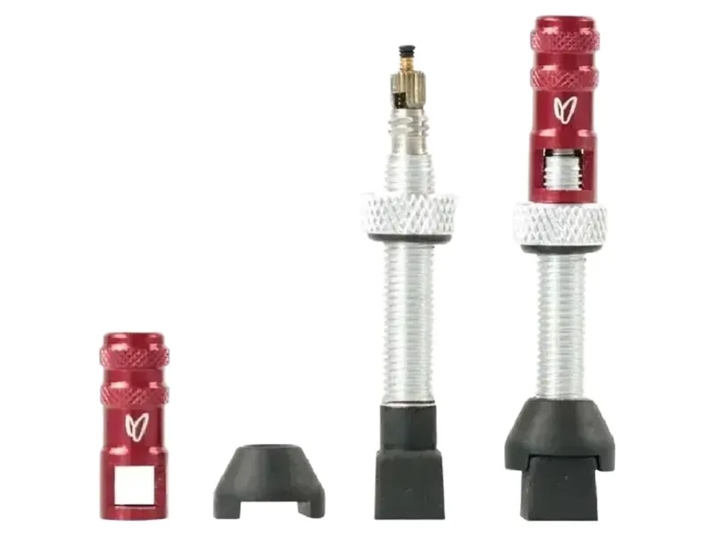 Effetto Mariposa Caffelatex Tubeless Valve x2 70mm in Silver