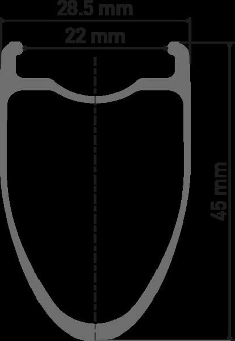 DT Swiss ERC 1100 DICUT 45mm Disc Brake Carbon Clincher 700c HG Wheelset in Black-6