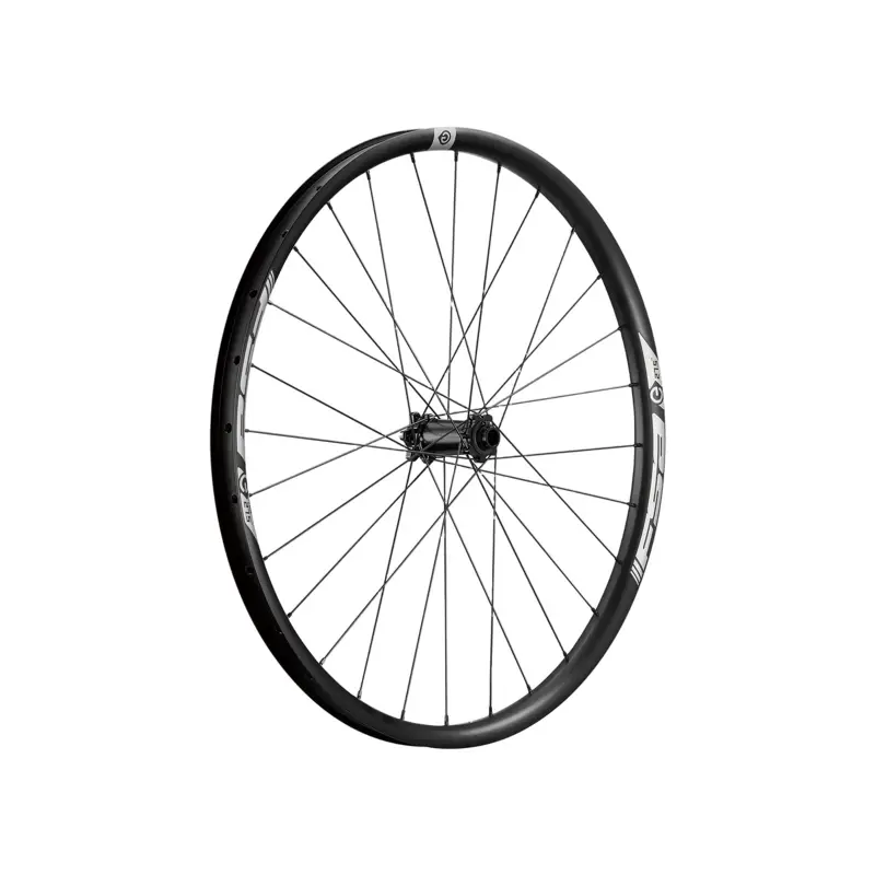 Balfes Bikes Fsa FSA E-MTB NS i30 SRAM XD BOOST 29 Inch Alloy Rear Wheel in Black | Free postage over £30, £10 off first order, price match & 0% finance.