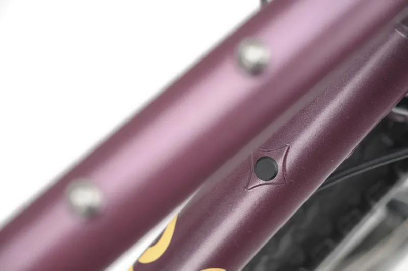 Genesis Vagabond 10 Gravel Bike 2027 in Bohemian Raspberry-8