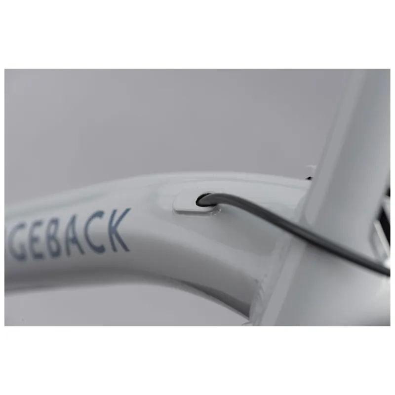 Ridgeback Element EQ Hybrid Bike 2021 in Grey-5