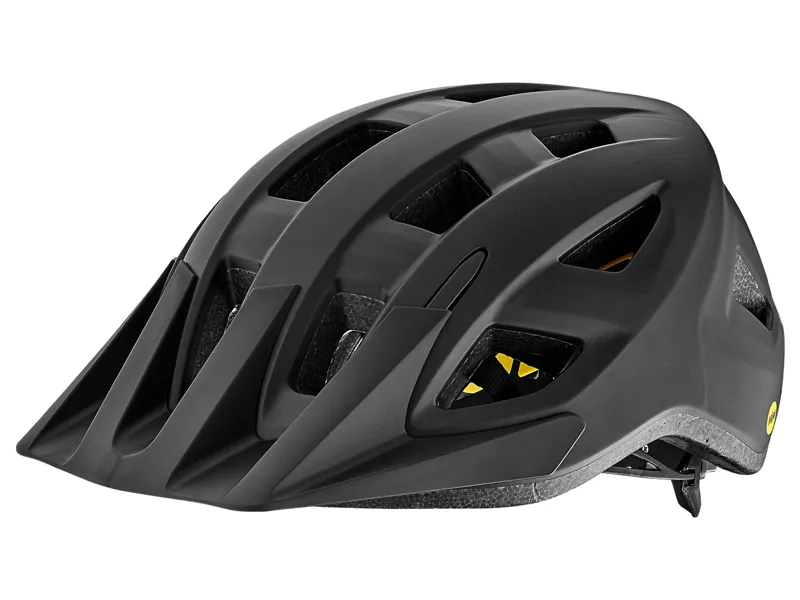 Giant Path MIPS Helmet in Black