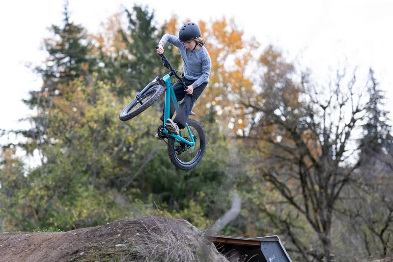 Giant STP 20 FS Kids Jump Bike 2026 in Teal-11