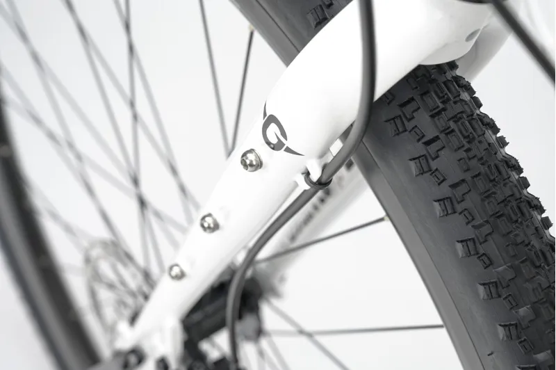 Genesis Croix De Fer 10 Gravel Bike 2026 in Whitehouse Family-10