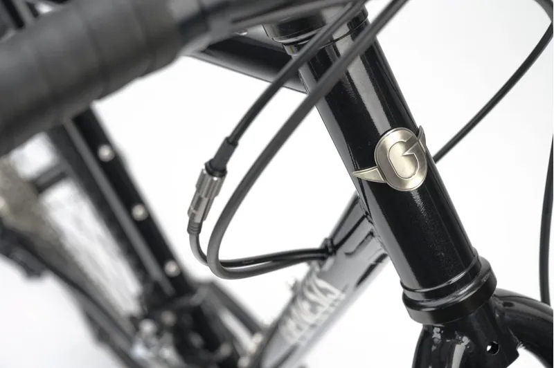 Genesis Croix De Fer 20 Gravel Bike 2026 in Burt Bachablack-3