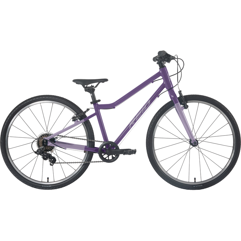 Balfes Bikes Reid H24 Kid's Bike 2027 24 inch Wheel in Purple | Free postage over £30, £10 off first order, price match & 0% finance.