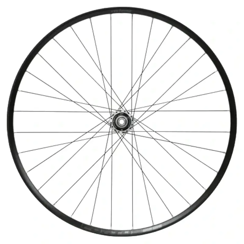 Balfes Bikes Hope Fortus 23W Pro 5 29in 110mm Boost Front Wheel in Silver | Free postage over £30, £10 off first order, price match & 0% finance.