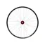 Hope Fortus 26W Pro 5 29ER 6-Bolt Boost Front Wheel in Black/Red