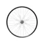 Hope Fortus 26W Pro 5 29in CL Boost Rear Wheel in Black/Silver