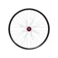 Hope Fortus 30W Pro 5 29ER 6-Bolt Boost Front Wheel in Black/Red
