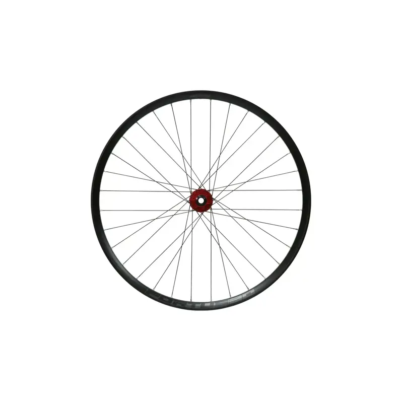 Balfes Bikes Hope Fortus 30W Pro 5 29ER 100x15mm QR Front Wheel in Black/Red | Free postage over £30, £10 off first order, price match & 0% finance.
