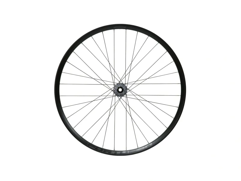 Hope Fortus 30W Pro 5 29ER 100x15mm QR Front Wheel in Black/Silver