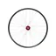 Hope Fortus 35W Pro 5 29ER 6-Bolt Boost Front Wheel in Black/Red