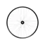 Hope Fortus 35W Pro 5 29ER 6-Bolt QR Front Wheel in Black