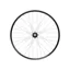 Hope Fortus 35W Pro 5 29in 6-Bolt Boost Rear Wheel in Black