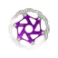 Hope MTB Centre Lock Disc 160mm in Purple