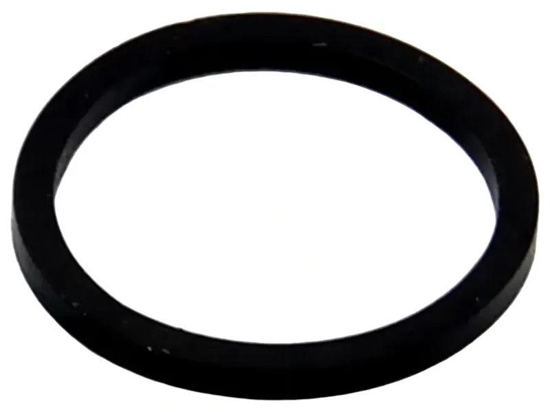 Hope X2 Caliper Piston Seal in Black