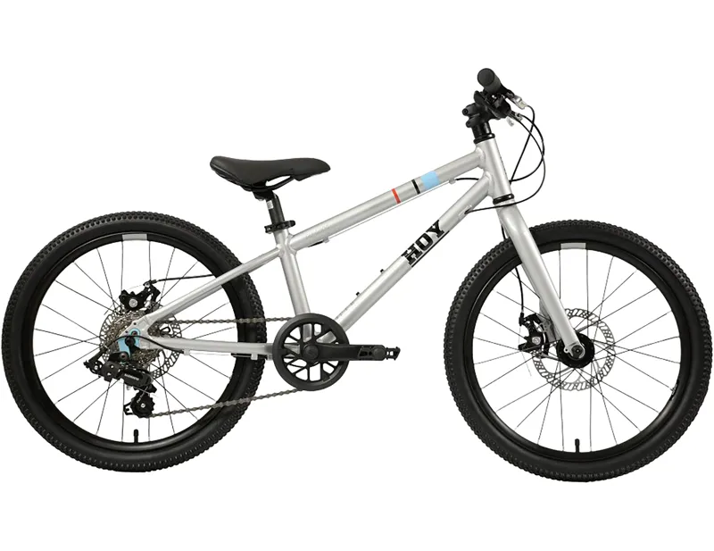 Hoy Pentland 20 inch wheel Kids Bike 2027 in Titanium Silver