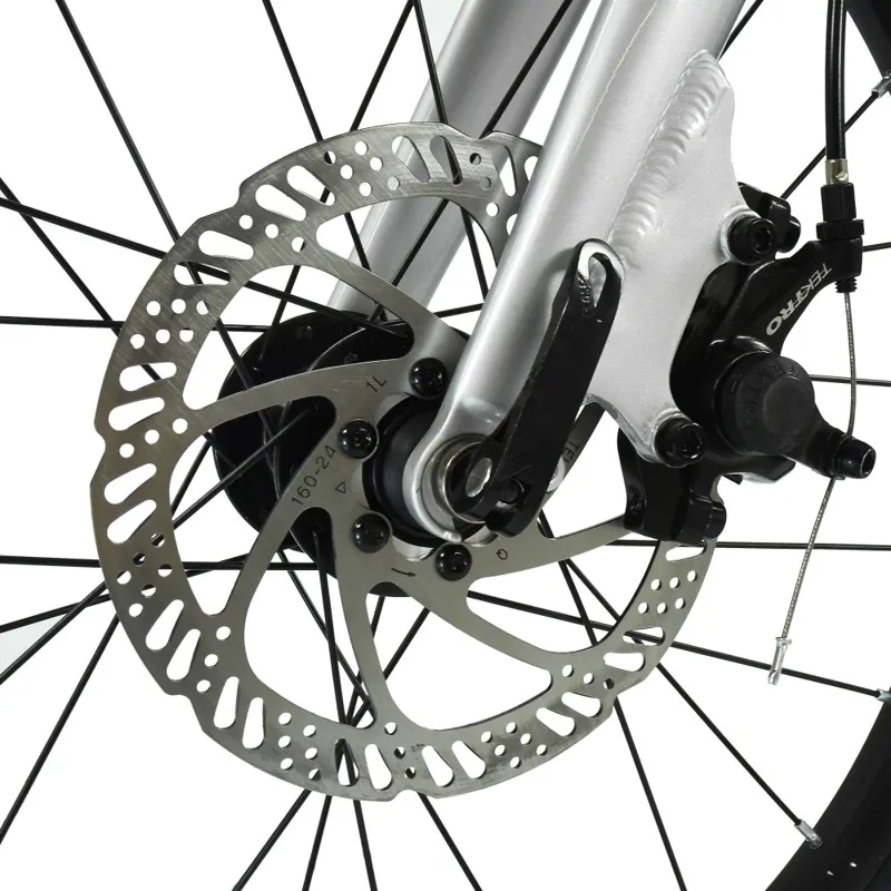 Hoy Pentland 20 inch wheel Kids Bike 2027 in Titanium Silver-7