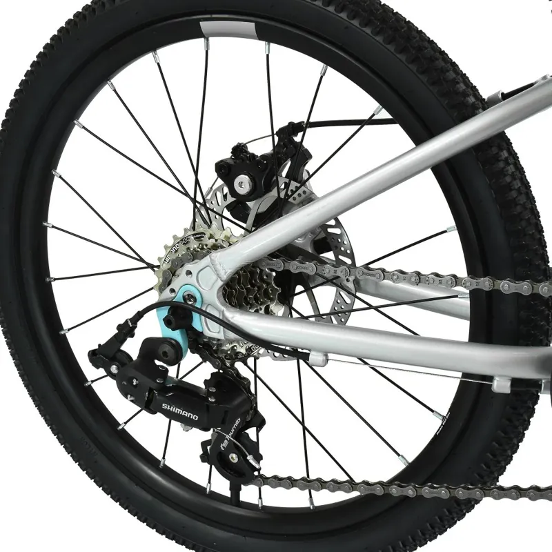 Hoy Pentland 20 inch wheel Kids Bike 2027 in Titanium Silver-6