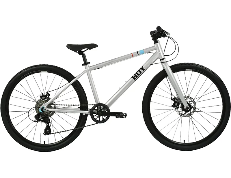 Hoy Pentland 26 inch wheel Kids Bike 2027 in Titanium Silver