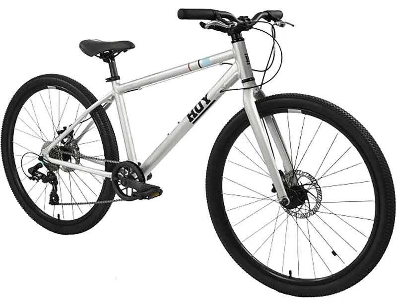 Hoy Pentland 26 inch wheel Kids Bike 2027 in Titanium Silver-1