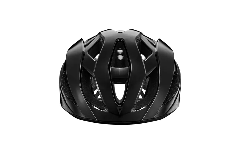 Giant Rev Comp MIPS Helmet in Panther Black-2