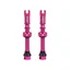 Juice Lubes Tubeless Valves 48mm in Pink