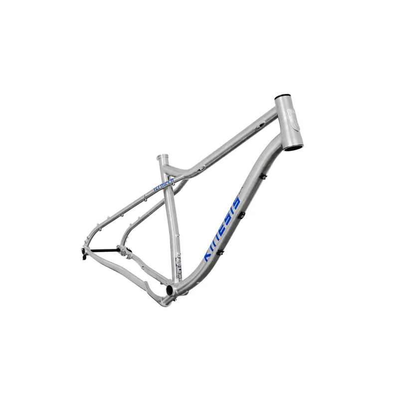 Kinesis Fernweh Frame 2026 in Titanium-1