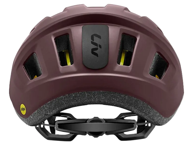 Liv Path Mips Helmet in Fig-1
