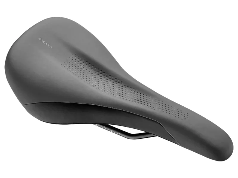 Liv Sylvia Saddle in Black