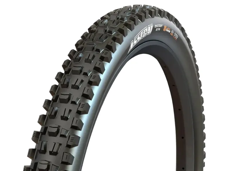 Maxxis Assegai 29 x 2.50 120 TPI Foldable MaxxTerra EXO+ Tubeless Tyre