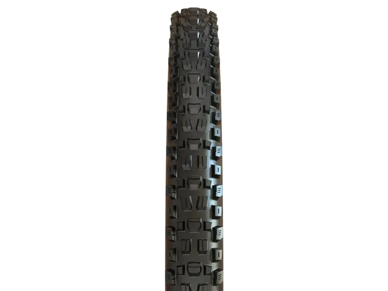 Maxxis Assegai 29 x 2.50 120 TPI Foldable MaxxTerra EXO+ Tubeless Tyre-1