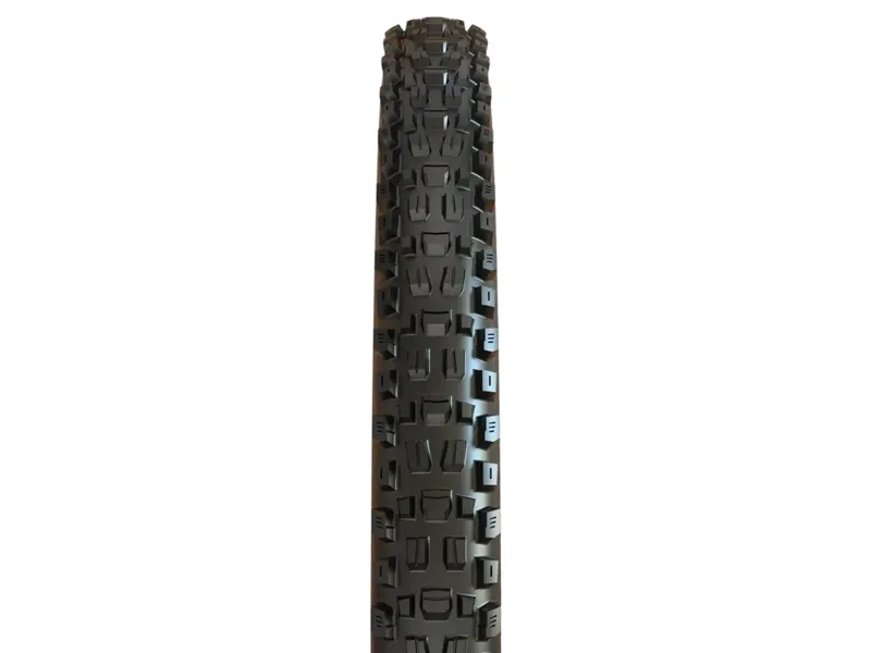 Maxxis Assegai 29 x 2.50 120 TPI Foldable MaxxTerra EXO+ Tubeless Tyre-1