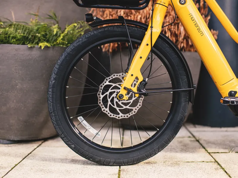 Momentum PakYak E+ Electric Cargo Bike 2025 in Bumblebee-8