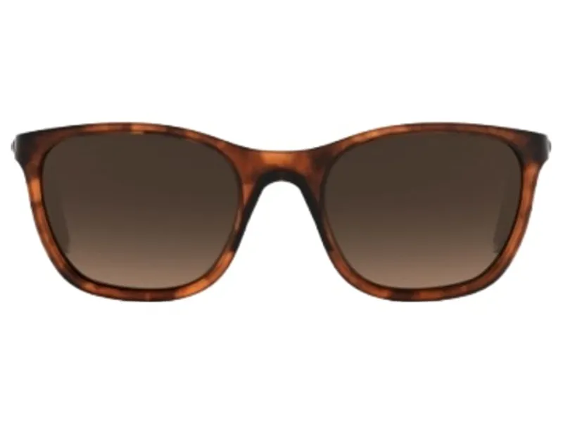 Rapha Aubisque Sunglasses in Brown-1