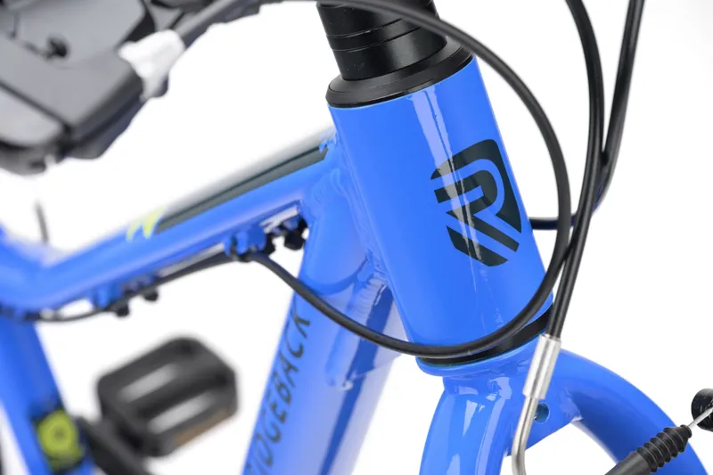 Ridgeback MX20 Kids Bike 2027 in Big Blue-2