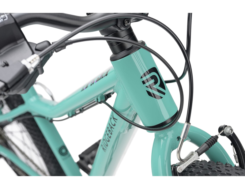 Ridgeback MX24 Kids Bike 2027 in Mighty Mint-2