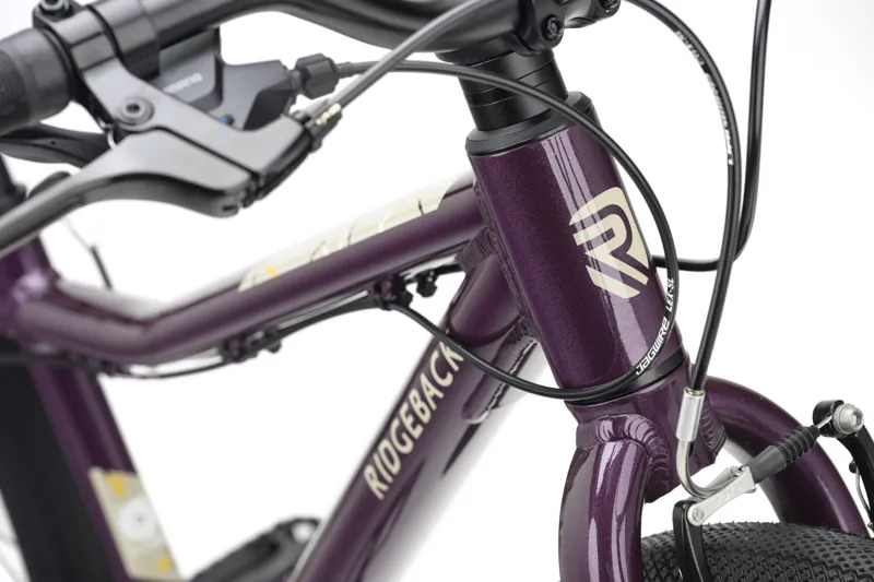 Ridgeback Dimension 24 Kids Bike 2027 in Vanquish Violet-2