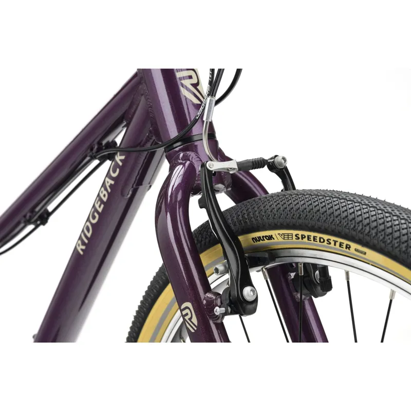 Ridgeback Dimension 24 Kids Bike 2027 in Vanquish Violet-11