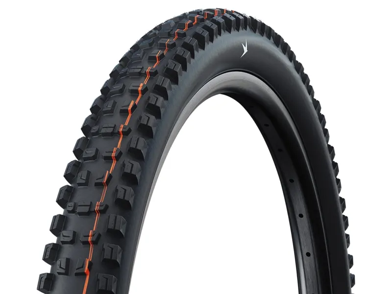 Schwalbe Romy Gravity Pro TLR 29x2.50 Folding Tyre in Black