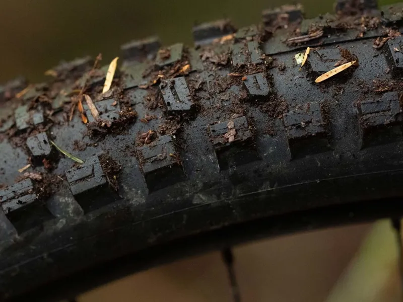 Schwalbe Romy Trail Pro Radial TLR 29x2.50 Folding Tyre  in Black-2